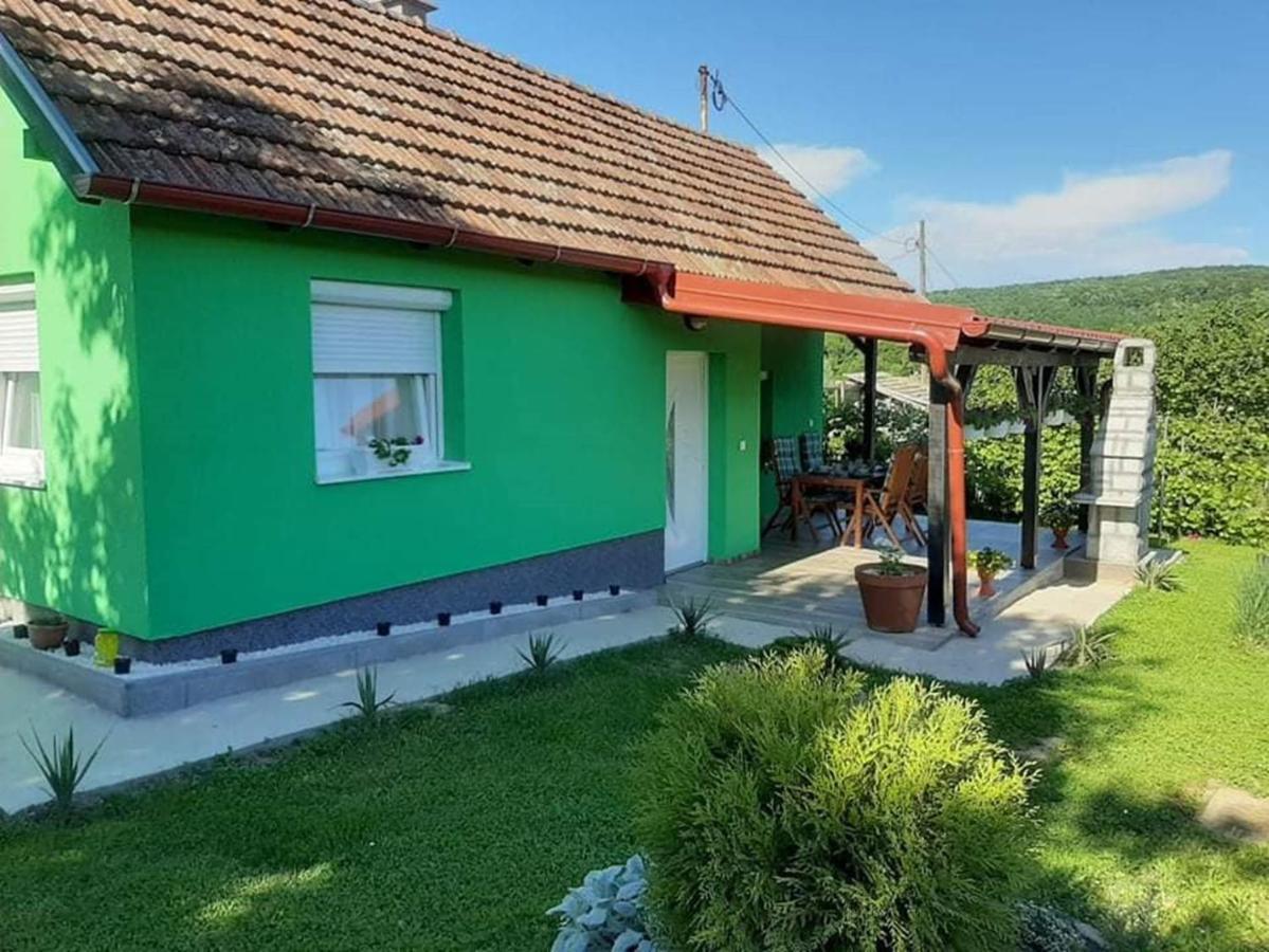 Villa Ruralna Kuca Za Odmor Viktorija Caglin Exterior foto